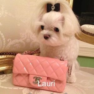 Meet your Posher, Lauri